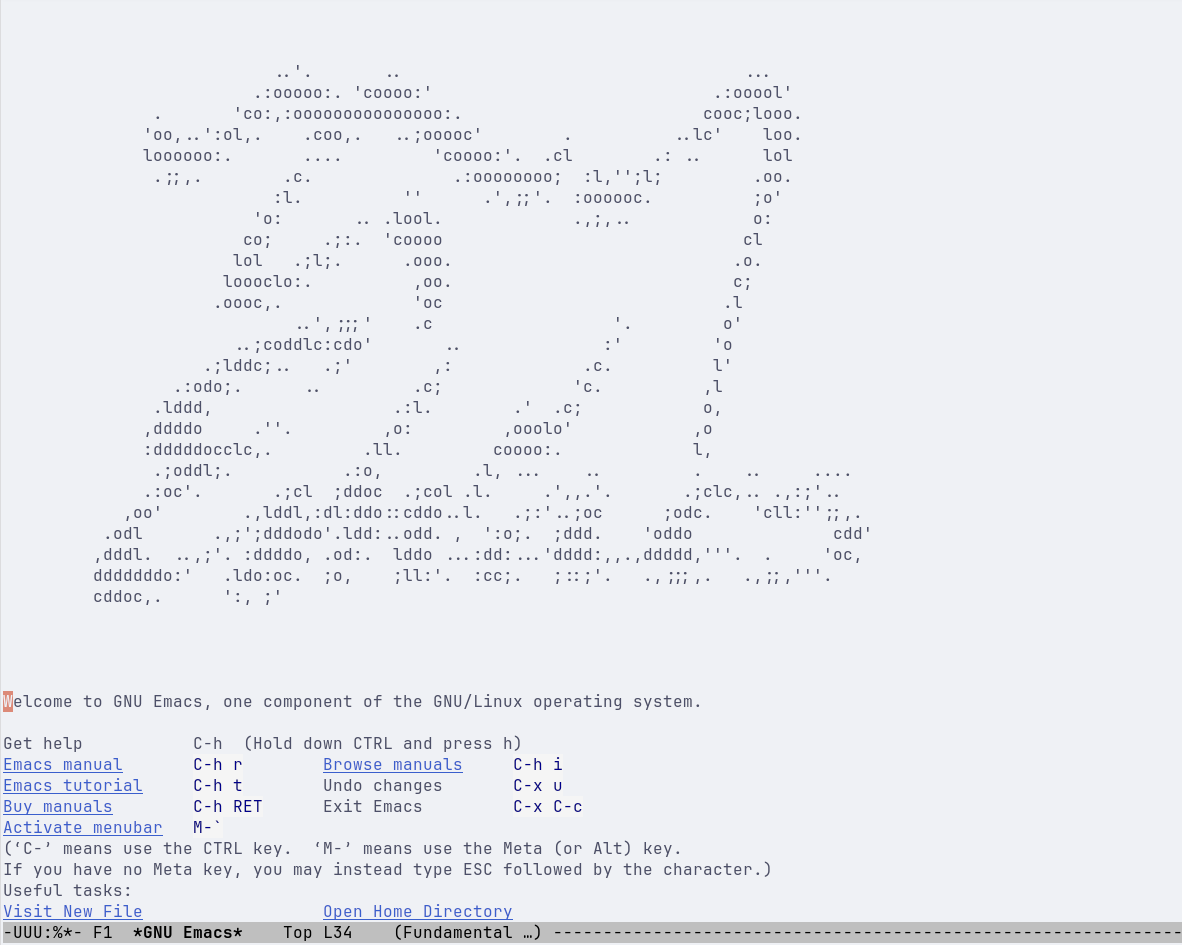 ascii-art-emacs-splash-screen.png